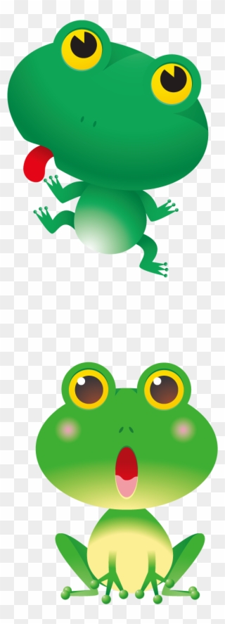 Red Eyed Tree Frogs Cartoons Clipart