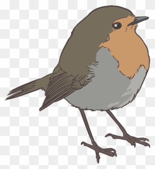Sparrow Png 17, Buy Clip Art - Robin Bird Png Black And White Transparent Png