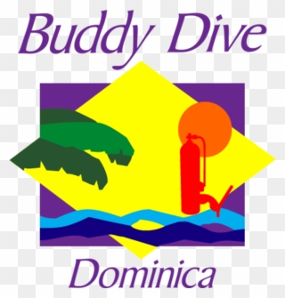 Exclusive Deals & Offers - Buddy Dive Resort Bonaire Clipart