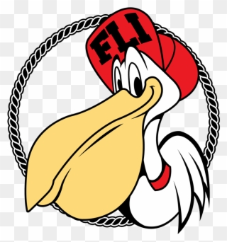 For Those Of You Who Dont Know Fli Pelican Is A Fairly - Fli Pelican Clipart
