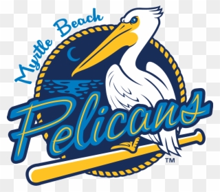 Pelicans Baseball In Myrtle Beach Sc Clipart