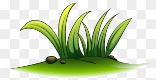 Clip Art A Plant Of Grass Transprent - Grass In Water Clipart - Png Download