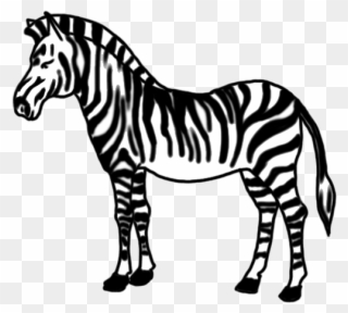 How To Draw Zebra For Kids Easy Step By Step - Zebra Malvorlage Clipart