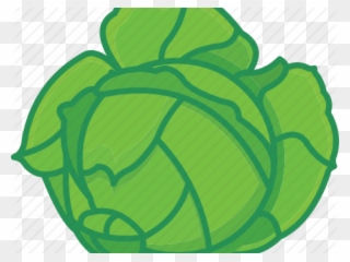 Cabbage Clipart Salad - Cabbage Icon Transparent - Png Download