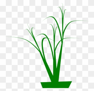 4) Grassy Looking Curves With Corner Node Tips, 5) Clipart