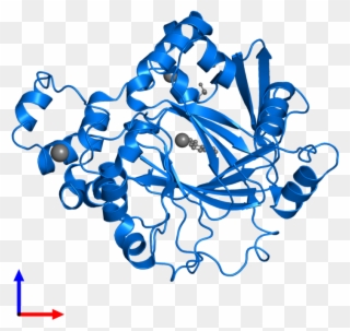 <div Class='caption-body'>pdb Entry 5f3g Contains 1 - Graphic Design Clipart