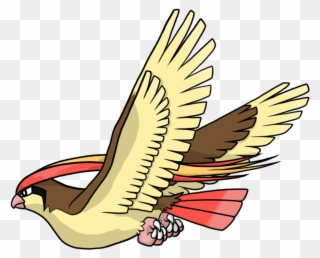 23 Dec - Pidgeot No Background Clipart