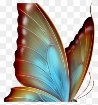 Rainbow Butterfly Clipart White Background - Butterfly Clipart Transparent Background - Png Download