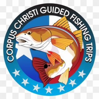 Welcome To Captain Haiden's Corpus Christi Guided Fishing - Corpus Christi Clipart