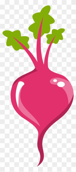 Big Image - Beetroot Icon Png Clipart