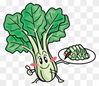 Cabbage Clipart Bok Choy - Bok Choy - Png Download