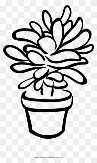 Succulent Coloring Page - Black And White Succulent Clip Art - Png Download