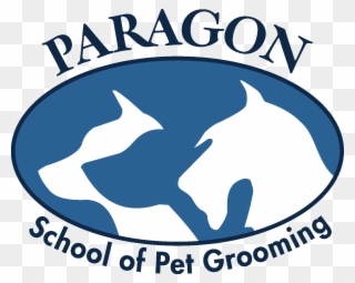Melissa - Paragon School Of Pet Grooming Clipart