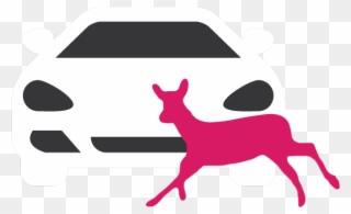 Animal-vehicle Collisions - Roe Deer Clipart
