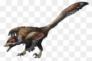 Velociraptor - Mongolian Velociraptor Clipart