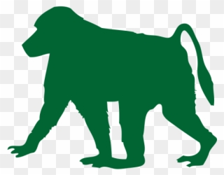 Baboon Png Transparent Images - Dog Catches Something Clipart