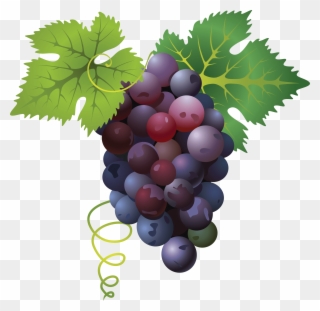 Grape Png Free Images Only Image X - Grape Png Clipart