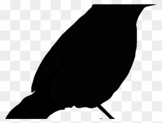 Silhouette Clipart Parrot - Black Bird Clip Art - Png Download