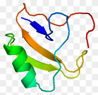 Scorpion Venom Molecular Structure Clipart