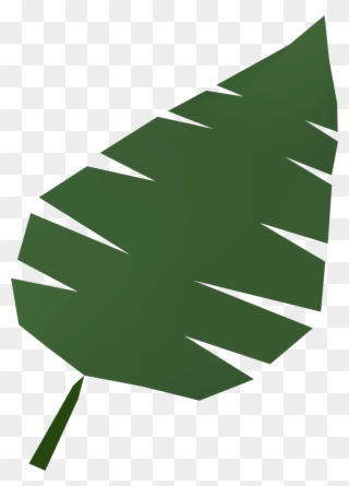 Palm Leaf Runescape Wiki Fandom Powered By Wikia Santa - Illustration Clipart