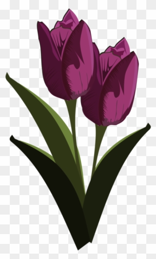 Tulip Download Mosseruds Gf Pixel Art - Tulips Flower Clip Art - Png Download