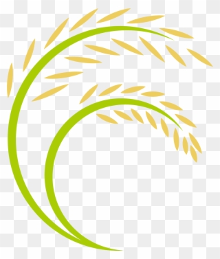 Rice Logo Cartoon Transprent Png Free Download - Espiga De Arroz Dibujo Clipart