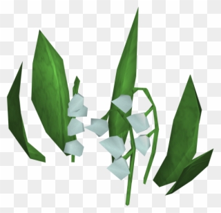 Lily Of The Valley Clipart Transparent - Lily Of The Valley - Png Download