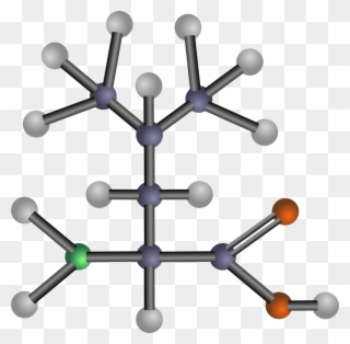 Amino Acid Leucine Methionine Aspartic Acid - Amino Acids Vector Clipart