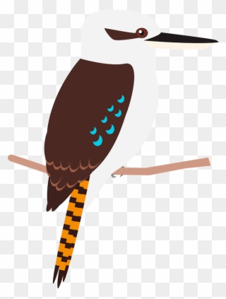 Kookaburra Cartoon Clipart