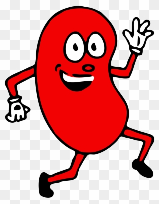 Hello Clipart Kidney - You Ve Got To Be Kidney Me - Png Download