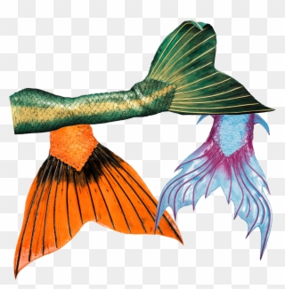 High Quality Silicone Mermaid Tails From Mermaid Kat - Mermaid Clipart
