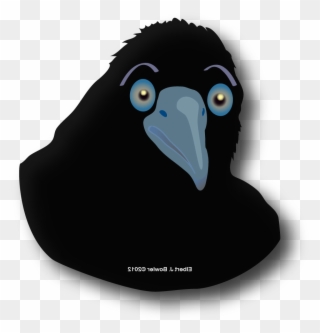 Want To Contribute To A Book And Companion Dvd Of Mt - Flightless Bird Clipart