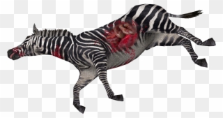 Dead Zebra - Quagga Clipart