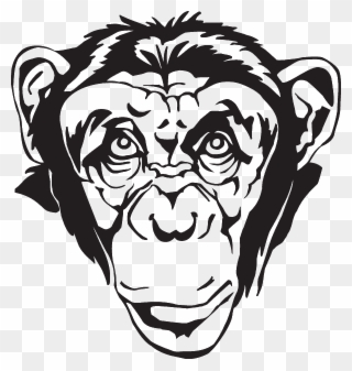 Chimpanzee Head Clipart - Png Download