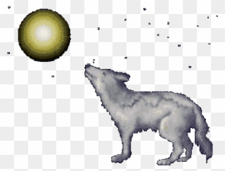Lone Wolf Gif Transparent Clipart