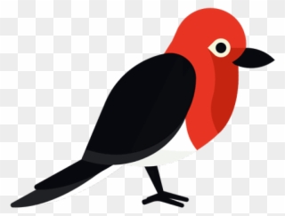 Red Headed Woodpecker Sketch Clipart