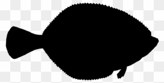 Fish Clipart Silhouette Flatfish Atlantic Halibut - Fish Silhouette Halibut - Png Download