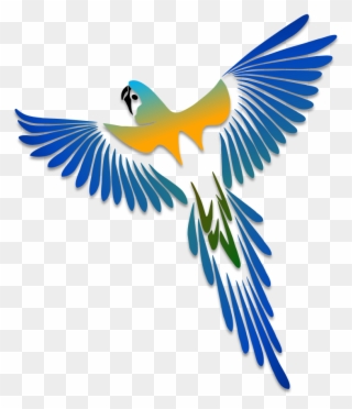 Birds Illustrations Art Islamic Graphics Adornos Pinterest - Parrot Tattoo Designs Clipart