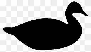 Amazing Chic Mallard Duck Silhouette Donald Drawing - Silhouette Duck Clipart