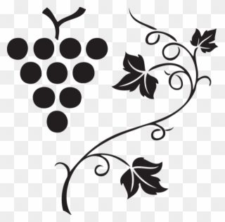 562 Grapes & Vine Clipart Images, Vector Clipart, Multiple - Grape Free Vector - Png Download