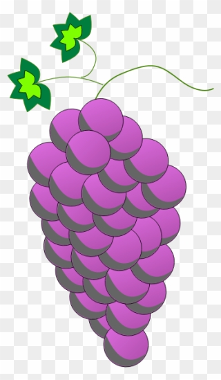 Common Grape Vine Wine Purple Grape Leaves - Grapes Lineart Clipart