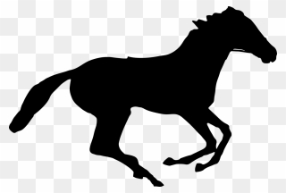 All Photo Png Clipart - Running Horse Silhouette Transparent