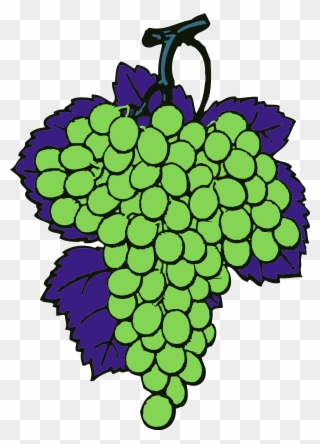 Grapes Vine Fruit - Desenho Cachos De Uvas Clipart