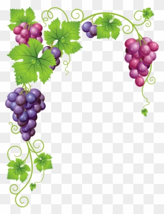 Grape Vine Clipart Png - Grape Vine Frame Transparent Png