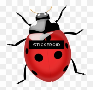 Termite Bugs Insects - Ladybug Png Clipart