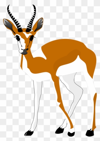 Springbok Funny Free Collection - Antelope Clipart Png Transparent Png