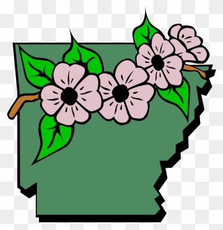 Arkansas State Flower Clipart - Png Download