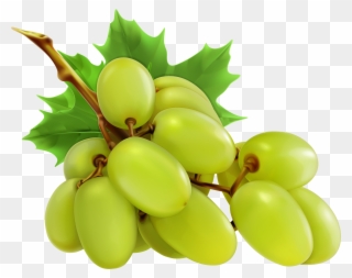 Grapes Clipart Red Grape - Grapes Png Transparent Png