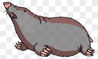 Ground Looking Animal Claws Blind Mole “ - Mole Clipart Png Transparent Png