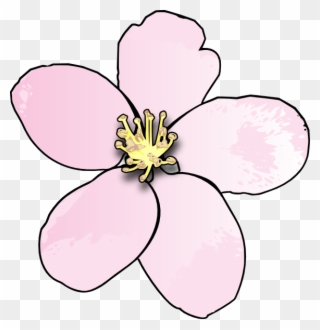 Pink Apple Blossom Clip Art - Draw Michigan State Flower - Png Download